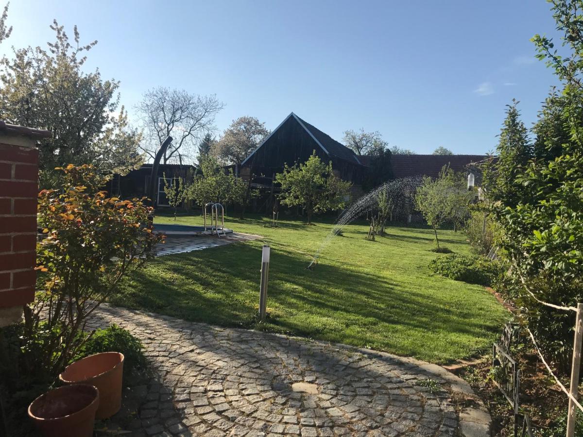 Helle, Offene Dachgeschosswohnung Mit Terrasse Oberloisdorf Exteriér fotografie